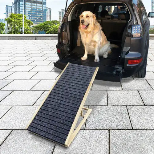 Dog Bed Ramp, Extra Wide For Excellent Traction, Pet Ramp For Small Dogs To Get On The Sofa Car