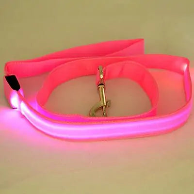 Glow In Dark Dog Leash