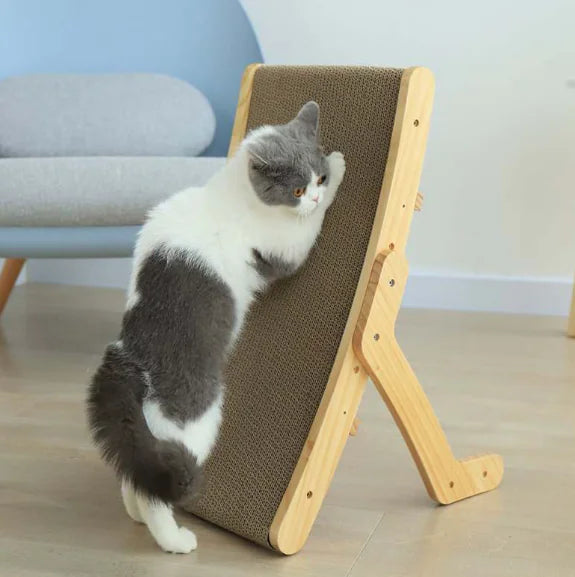 Transformable Cat Bed & Scratcher